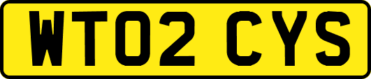WT02CYS