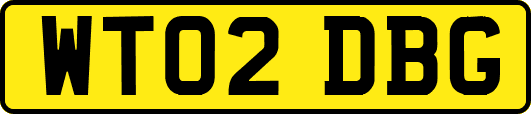 WT02DBG
