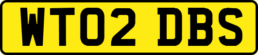WT02DBS