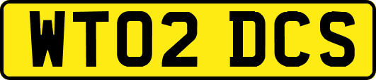 WT02DCS