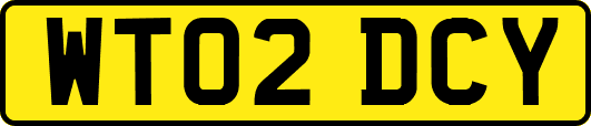 WT02DCY