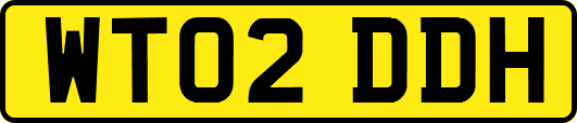 WT02DDH