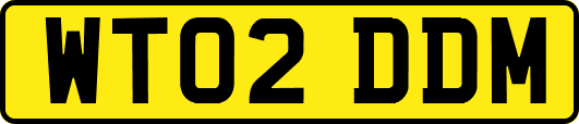 WT02DDM