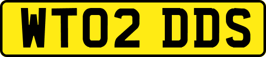 WT02DDS