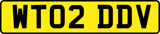 WT02DDV