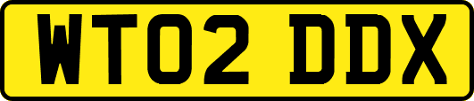 WT02DDX
