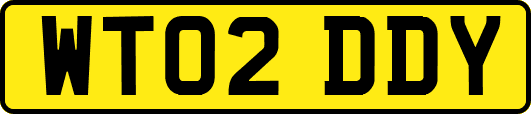 WT02DDY