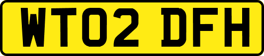 WT02DFH