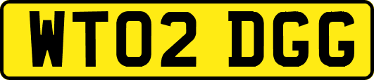 WT02DGG