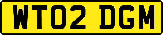 WT02DGM