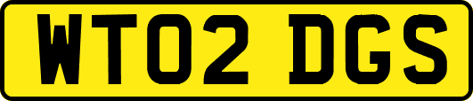 WT02DGS
