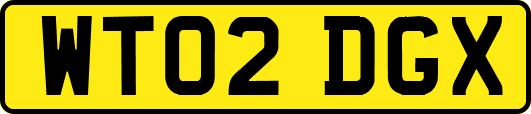 WT02DGX