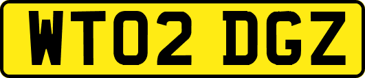 WT02DGZ