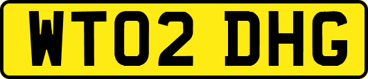 WT02DHG