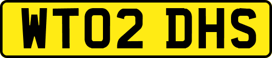 WT02DHS