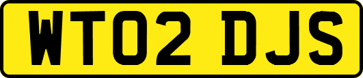 WT02DJS