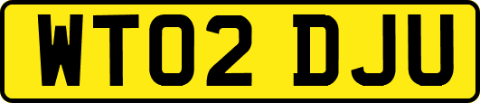 WT02DJU