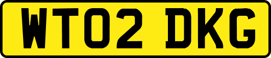 WT02DKG