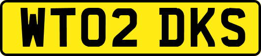 WT02DKS