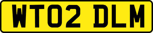 WT02DLM
