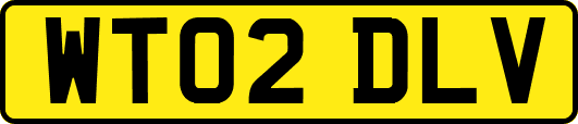 WT02DLV