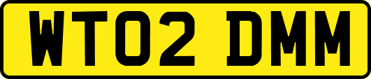 WT02DMM