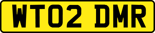 WT02DMR