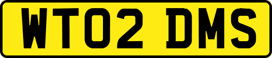 WT02DMS