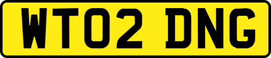 WT02DNG