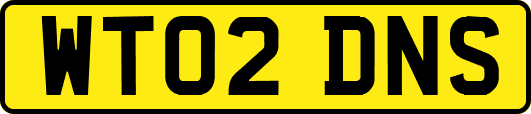 WT02DNS