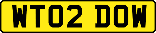 WT02DOW