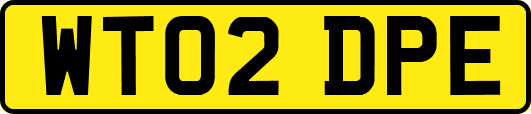 WT02DPE