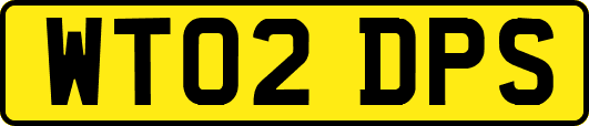 WT02DPS