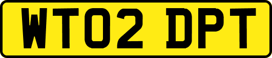 WT02DPT