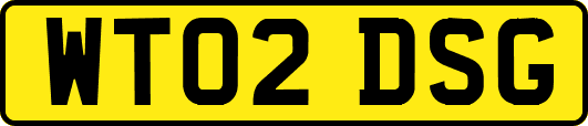 WT02DSG