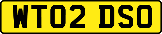 WT02DSO