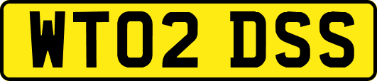 WT02DSS