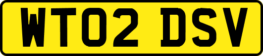 WT02DSV
