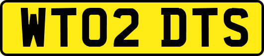 WT02DTS