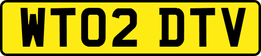 WT02DTV