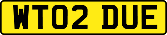 WT02DUE