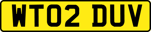 WT02DUV