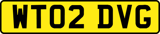 WT02DVG