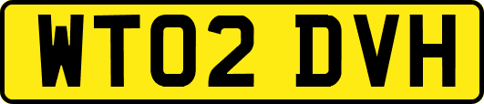 WT02DVH