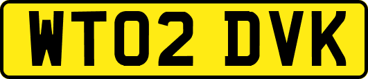 WT02DVK
