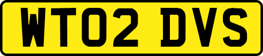 WT02DVS
