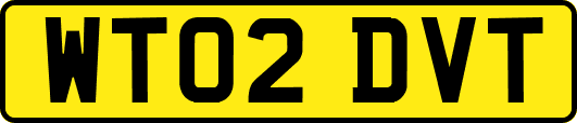 WT02DVT