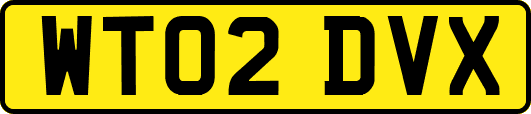 WT02DVX