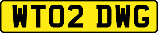 WT02DWG