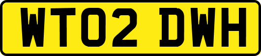 WT02DWH